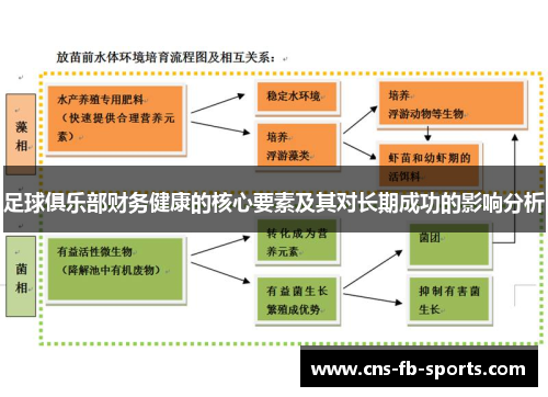 足球俱乐部财务健康的核心要素及其对长期成功的影响分析 足球俱乐部财务健康的核心要素及其对长期成功的影响分析