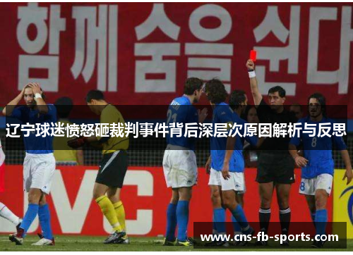 辽宁球迷愤怒砸裁判事件背后深层次原因解析与反思 辽宁球迷愤怒砸裁判事件背后深层次原因解析与反思