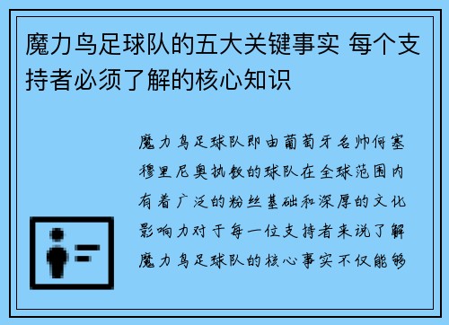 魔力鸟足球队的五大关键事实 每个支持者必须了解的核心知识 魔力鸟足球队的五大关键事实 每个支持者必须了解的核心知识